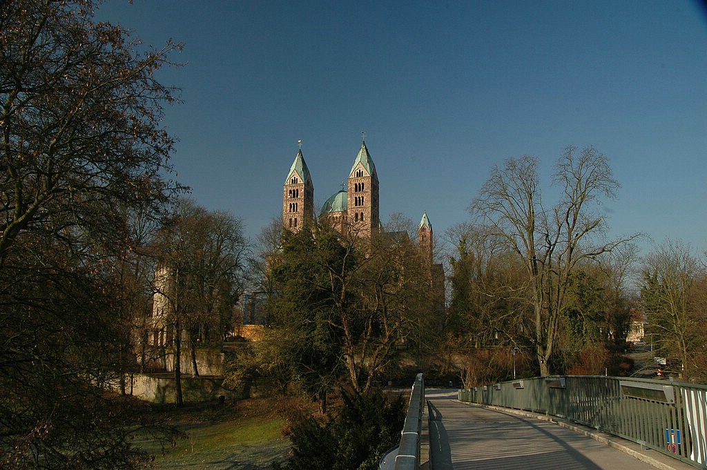 DSC_0368.JPG