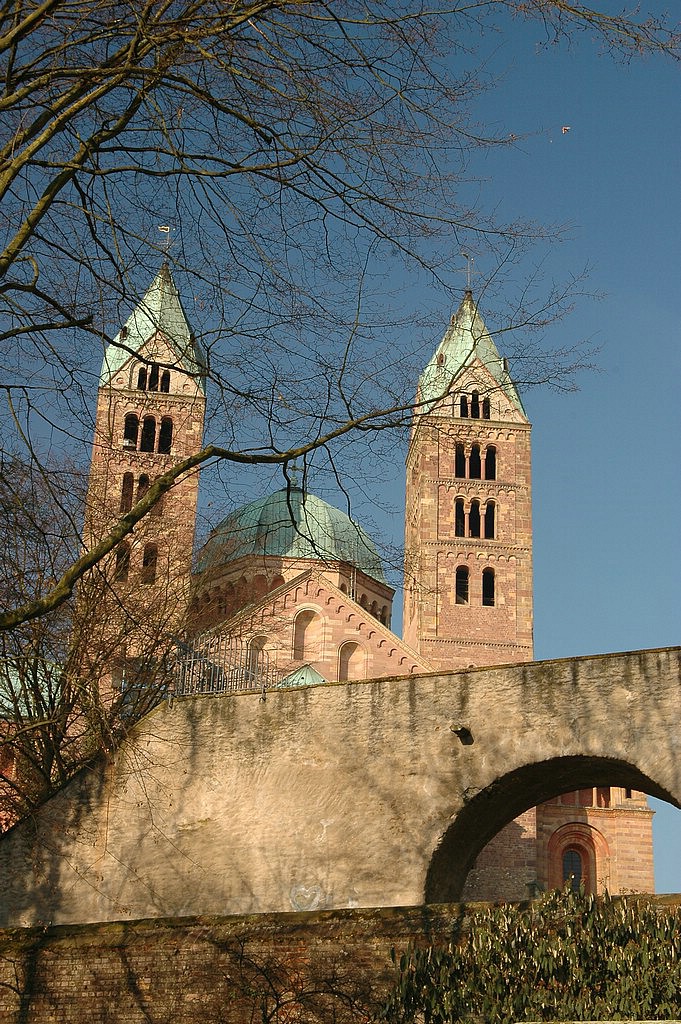 DSC_0374.JPG