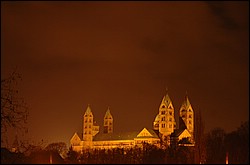 DSC_0339 Beschnitt.jpg