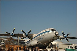 DSC_0356 Beschnitt.jpg