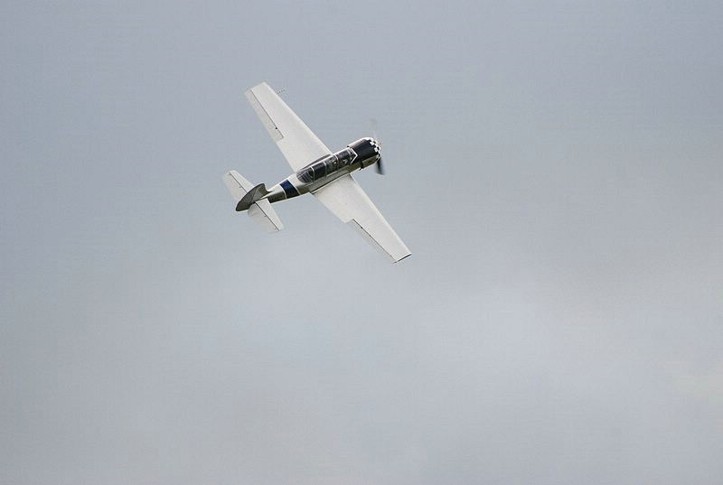 DSC_1341.JPG