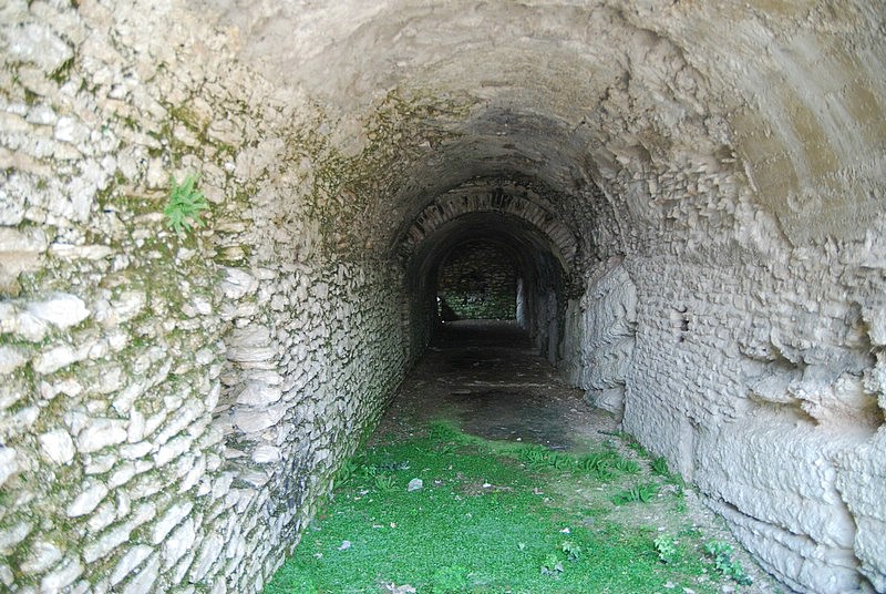 DSC_2767.JPG