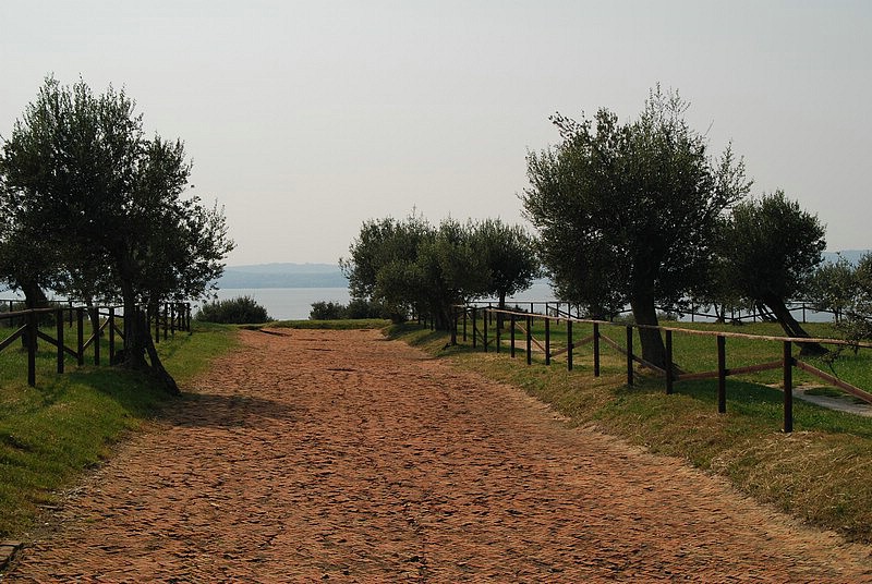 DSC_2777.JPG