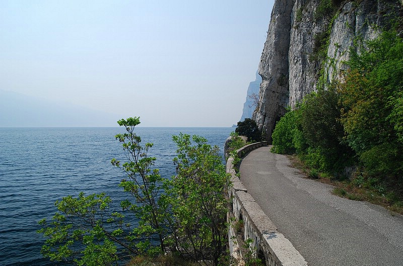 DSC_3244D.JPG