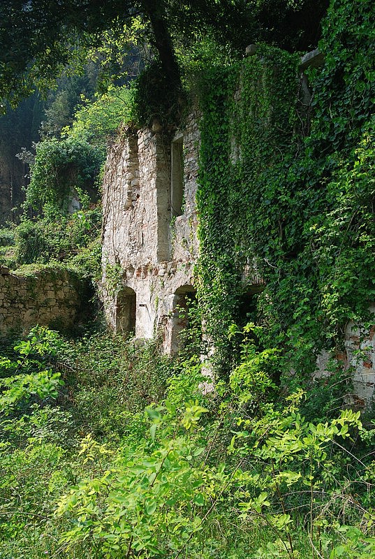 DSC_3264.JPG