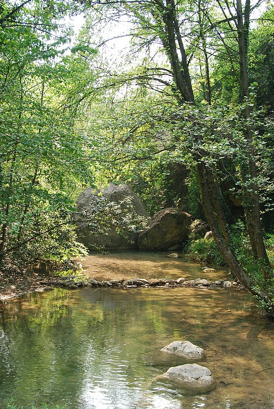 DSC_3268.JPG
