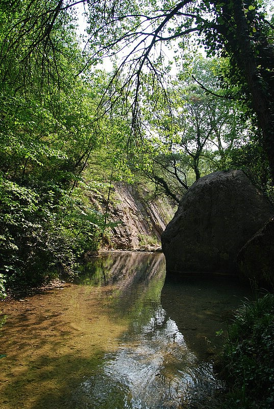 DSC_3271.JPG