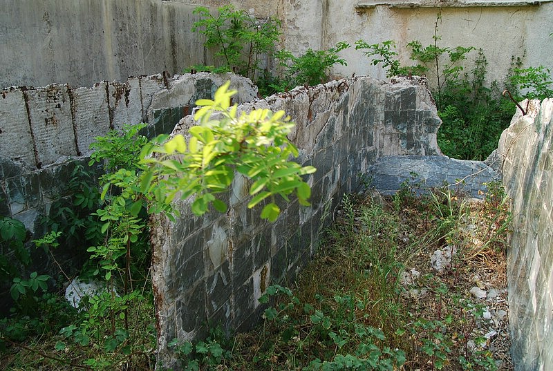 DSC_3278.JPG