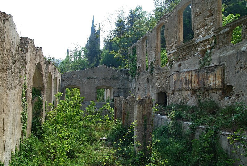 DSC_3285.JPG