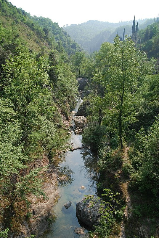 DSC_3294.JPG
