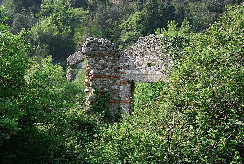 DSC_3298.JPG