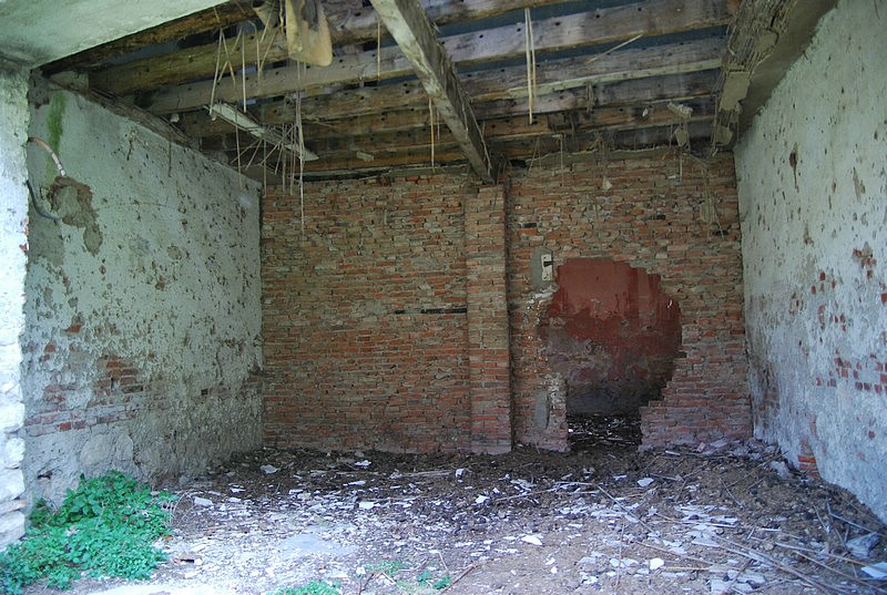 DSC_3299.JPG