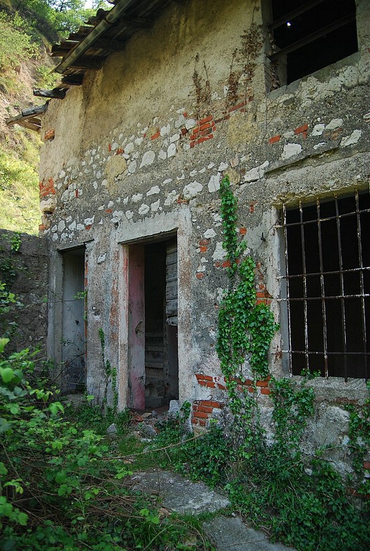 DSC_3302.JPG