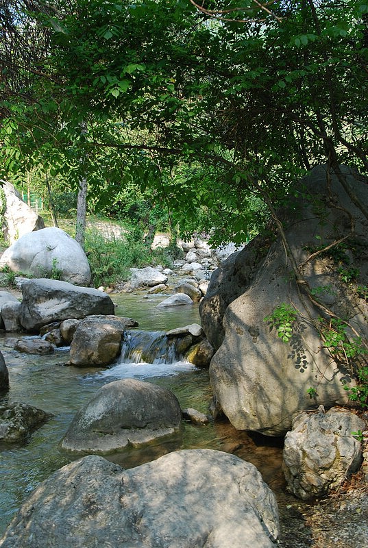 DSC_3316.JPG
