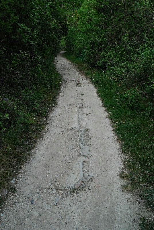 DSC_3327.JPG