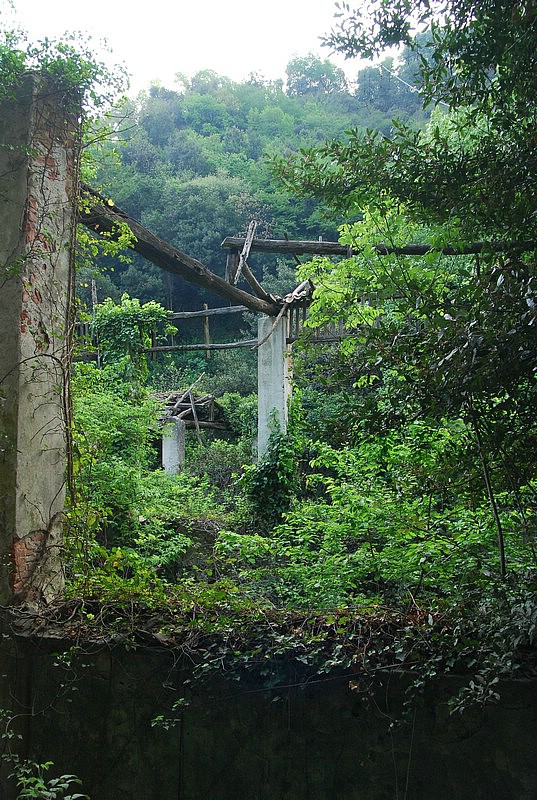 DSC_3339.JPG