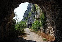 DSC_3236.JPG