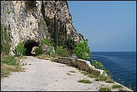 DSC_3238.JPG