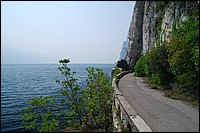 DSC_3244D.JPG