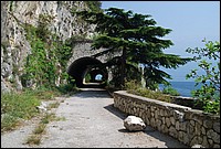 DSC_3247.JPG