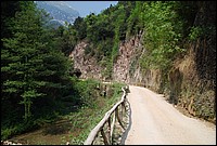 DSC_3253.JPG