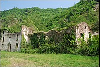 DSC_3262.JPG
