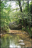 DSC_3268.JPG