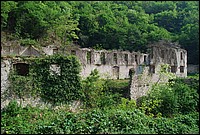 DSC_3272.JPG