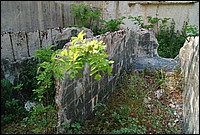 DSC_3278.JPG