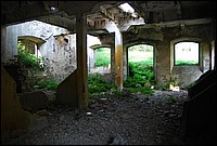 DSC_3279.JPG
