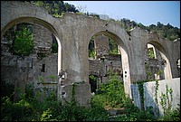 DSC_3283.JPG