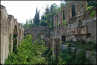DSC_3285.JPG