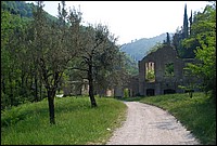 DSC_3288.JPG
