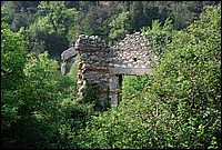DSC_3298.JPG