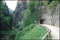 DSC_3336.JPG