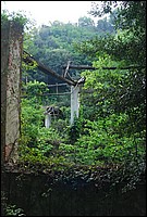 DSC_3339.JPG