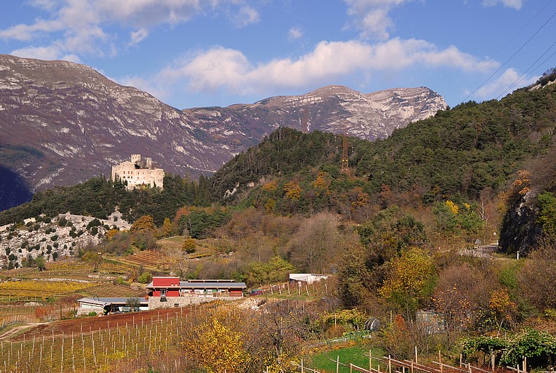 DSC_7664E.jpg