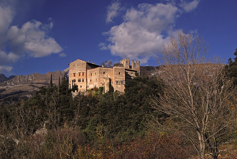 DSC_7665E.jpg