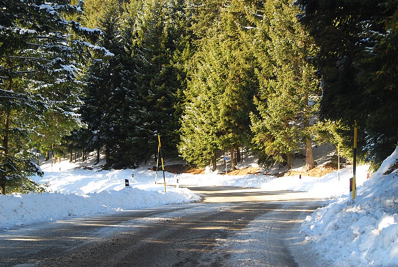 DSC_7774.JPG