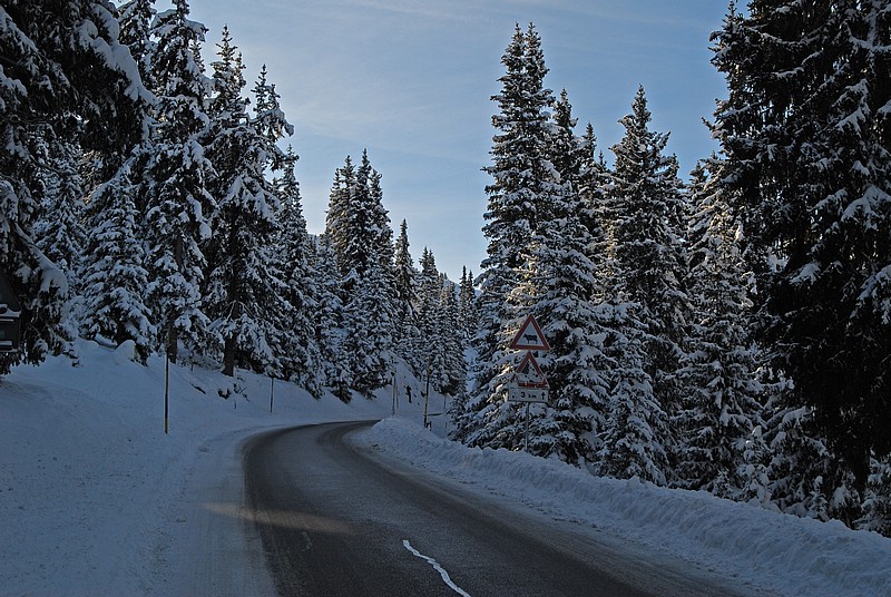 DSC_7791E.jpg