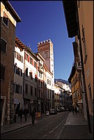 DSC_7695E.jpg