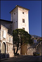 DSC_7732ED.jpg