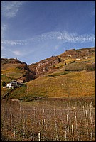 DSC_7762E.jpg