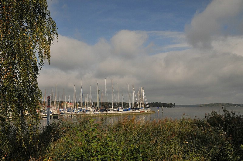 DSC_4758.JPG