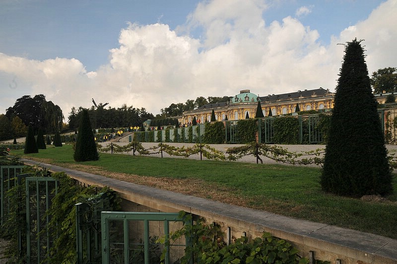 DSC_4817.JPG
