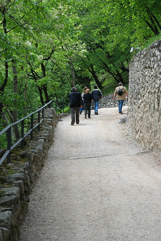DSC_9429.JPG