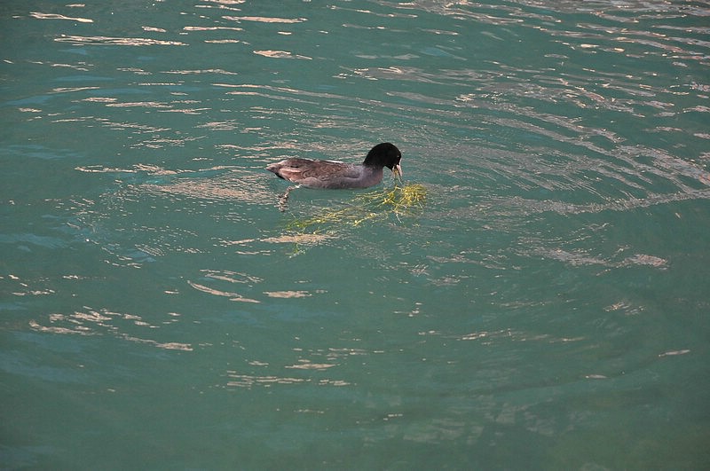 DSC_5003.JPG