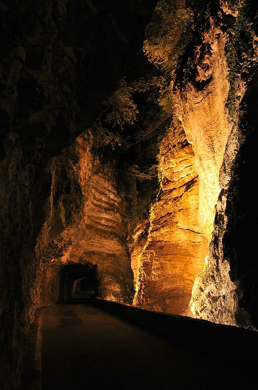 DSC_5400.JPG