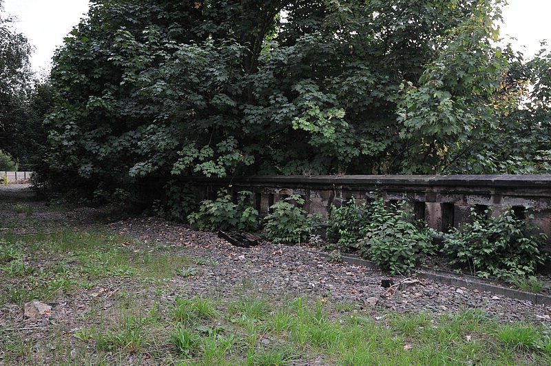 DSC_3146.JPG