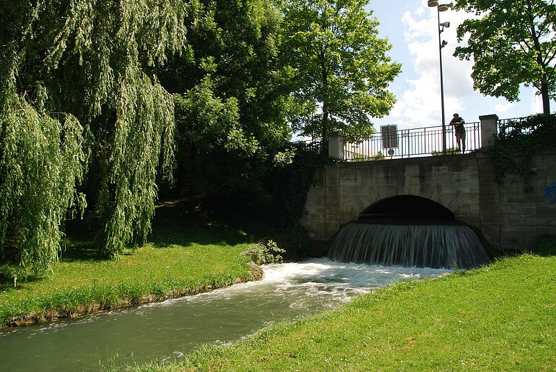 DSC_4156.JPG